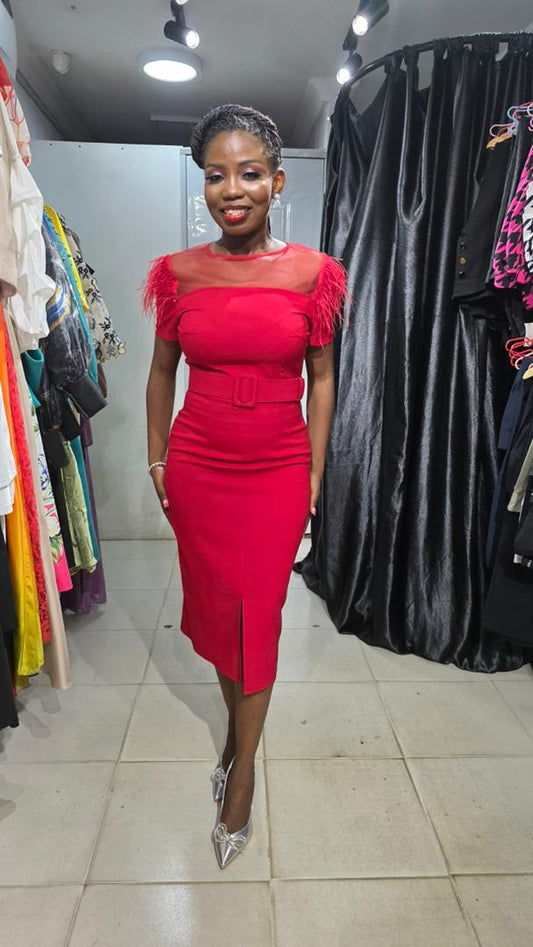 DISE COLLECTION Red Feather Trimmed Dress with belt